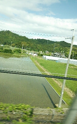 a0259724_11242449.jpg