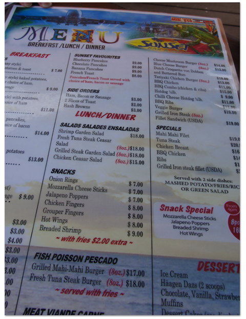 東カリブ海クルーズ(17) 飛行機とビーチのコラボ☆マホ・ビーチ_d0210324_8174127.jpg