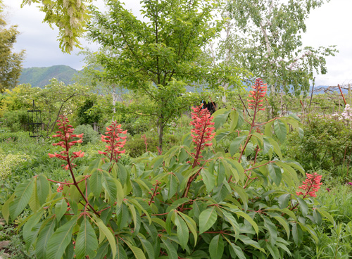 c0107129_0745.jpg