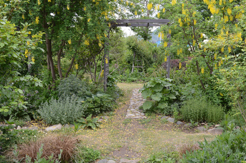 c0107129_08463.jpg