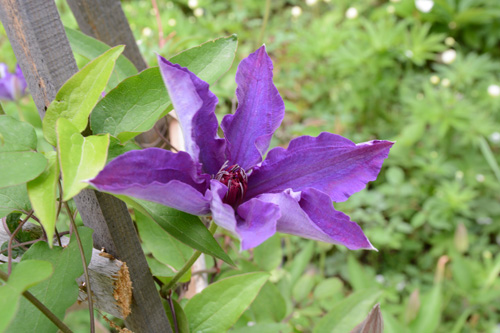 c0107129_09274.jpg