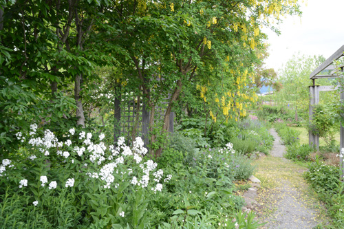 c0107129_09427.jpg