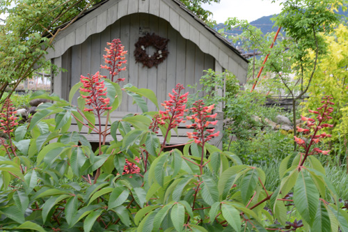 c0107129_14074.jpg