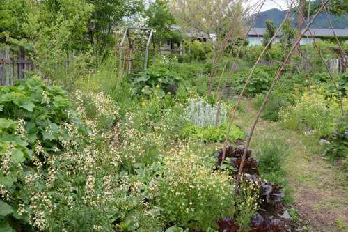 c0107129_15520.jpg