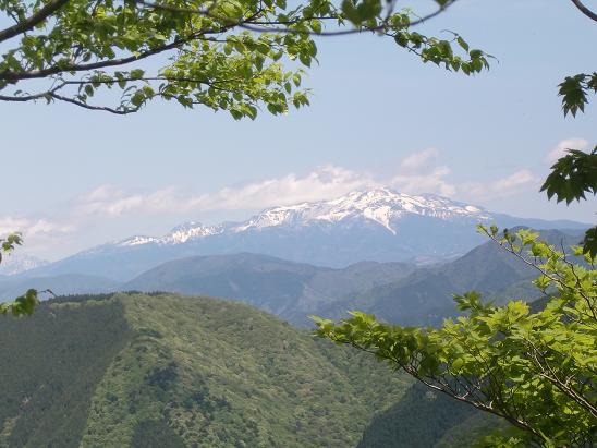 b0137933_0505173.jpg