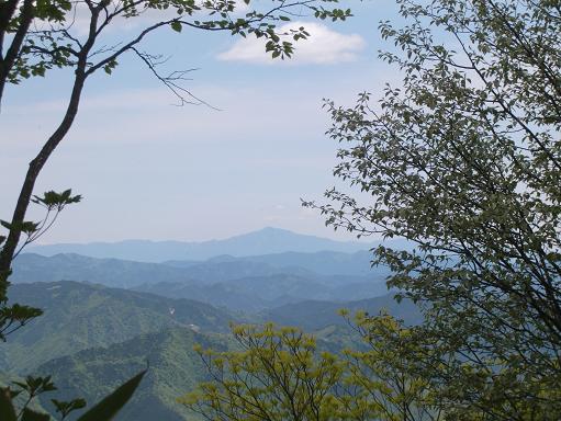 b0137933_0535472.jpg