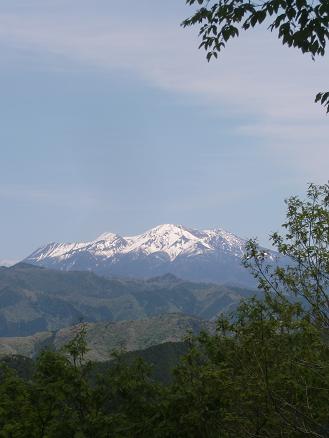 b0137933_053867.jpg