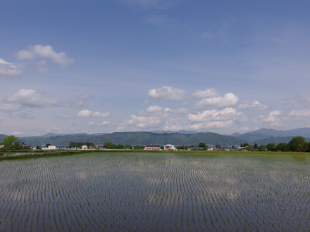 a0014840_21501621.jpg