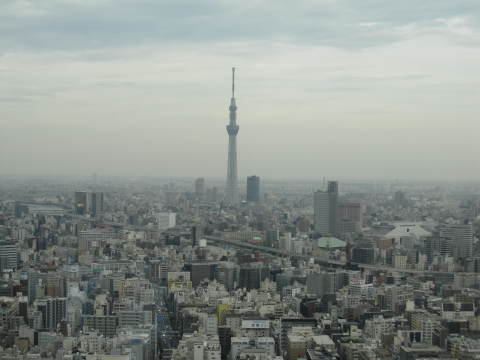 MANDARIN ORIENTAL TOKYO_d0243846_18164210.jpg