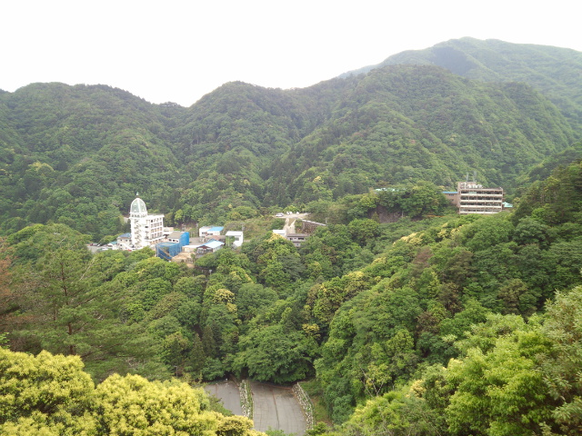 f0009847_00195.jpg