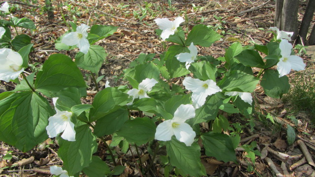 b0247153_09250795.jpg