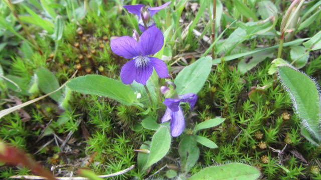 b0247153_09260439.jpg