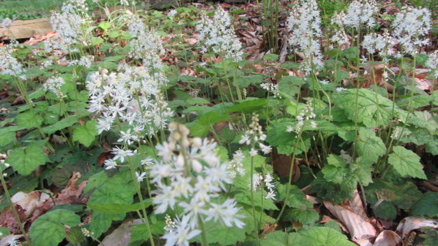 b0247153_09281482.jpg