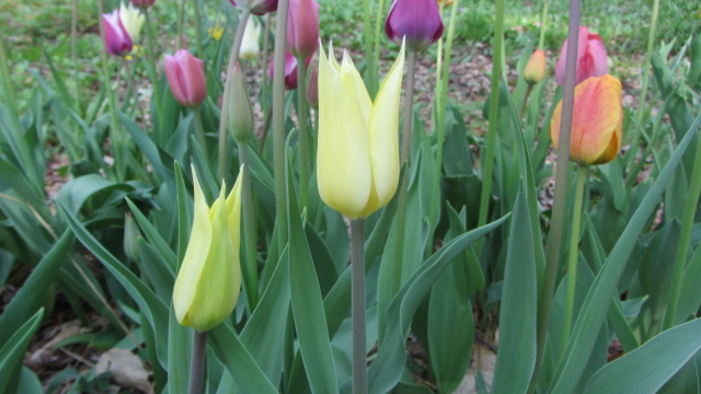 b0247153_09285159.jpg