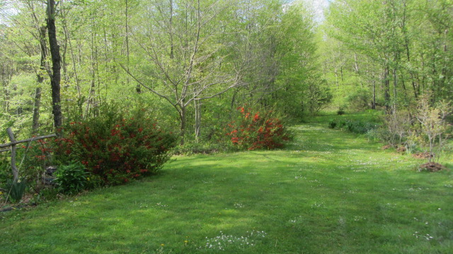 b0247153_09295822.jpg