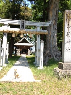 松代散歩 part.2_f0320754_19122587.jpg