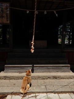 松代散歩 part.2_f0320754_19143334.jpg