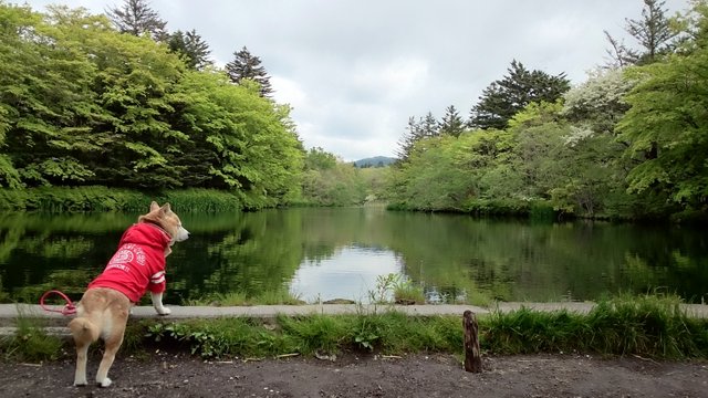 b0274270_10302168.jpg