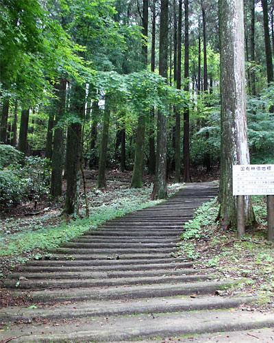 金峰山まで～♪_c0152779_18582944.jpg