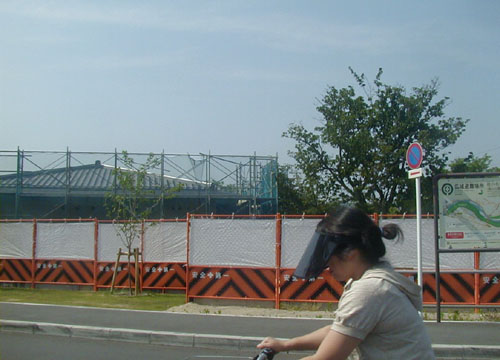 d0053294_16638.jpg