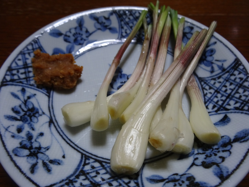 野菜と豚のカレースープ煮、野菜サラダ、麻婆豆腐、カレーライス、おろしハンバーグ、鶏唐揚げです。_c0225997_743122.jpg