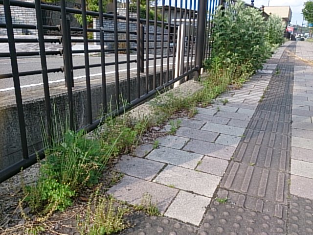 a0167998_19174512.jpg