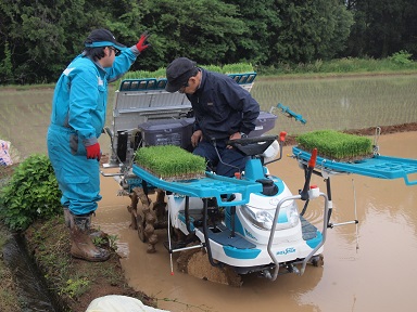 雨に植える_c0187298_22332742.jpg