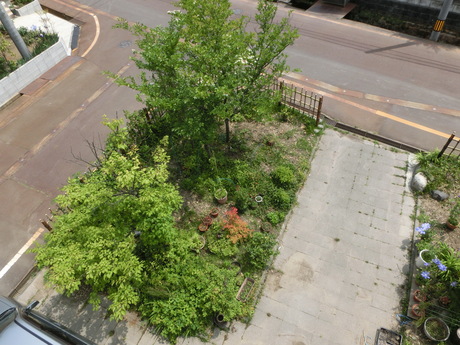 a0203003_18195633.jpg
