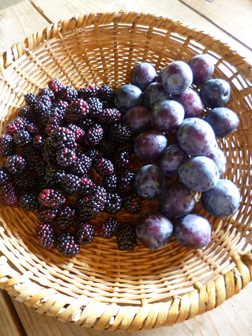 f0244704_20431119.jpg