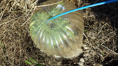 c0280206_8231496.jpg