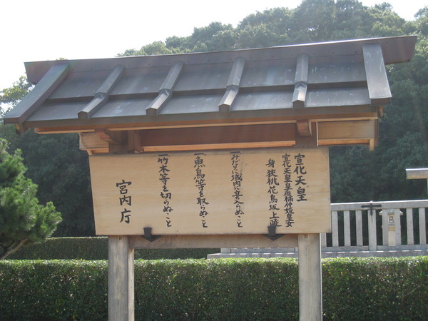 d0287413_10202342.jpg