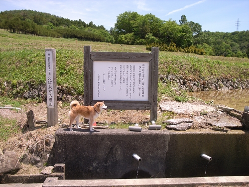 b0225620_6462480.jpg