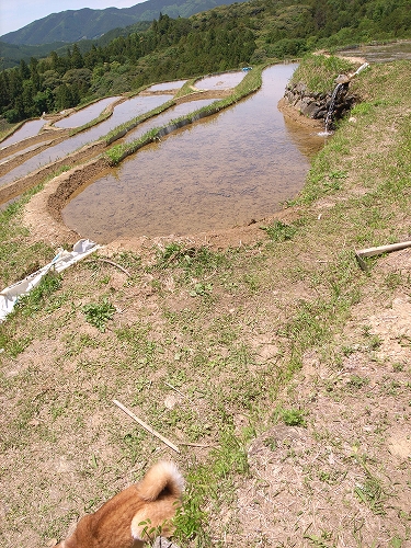 b0225620_6505426.jpg