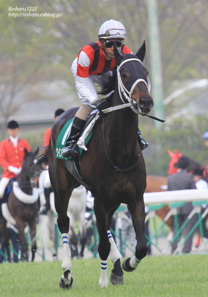 2014.4.26 福島競馬場☆ウィンプリメーラ【Thoroughbred】_f0250322_18254549.jpg