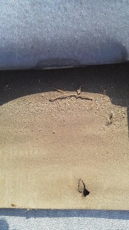 c0201731_1311559.jpg