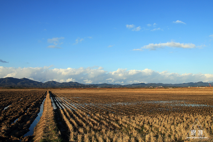 381 宍道湖西岸なぎさ公園 ~2014年初撮り~_c0211532_23521820.jpg