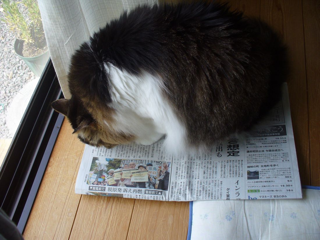 今日は27.7℃_f0275632_21504112.jpg