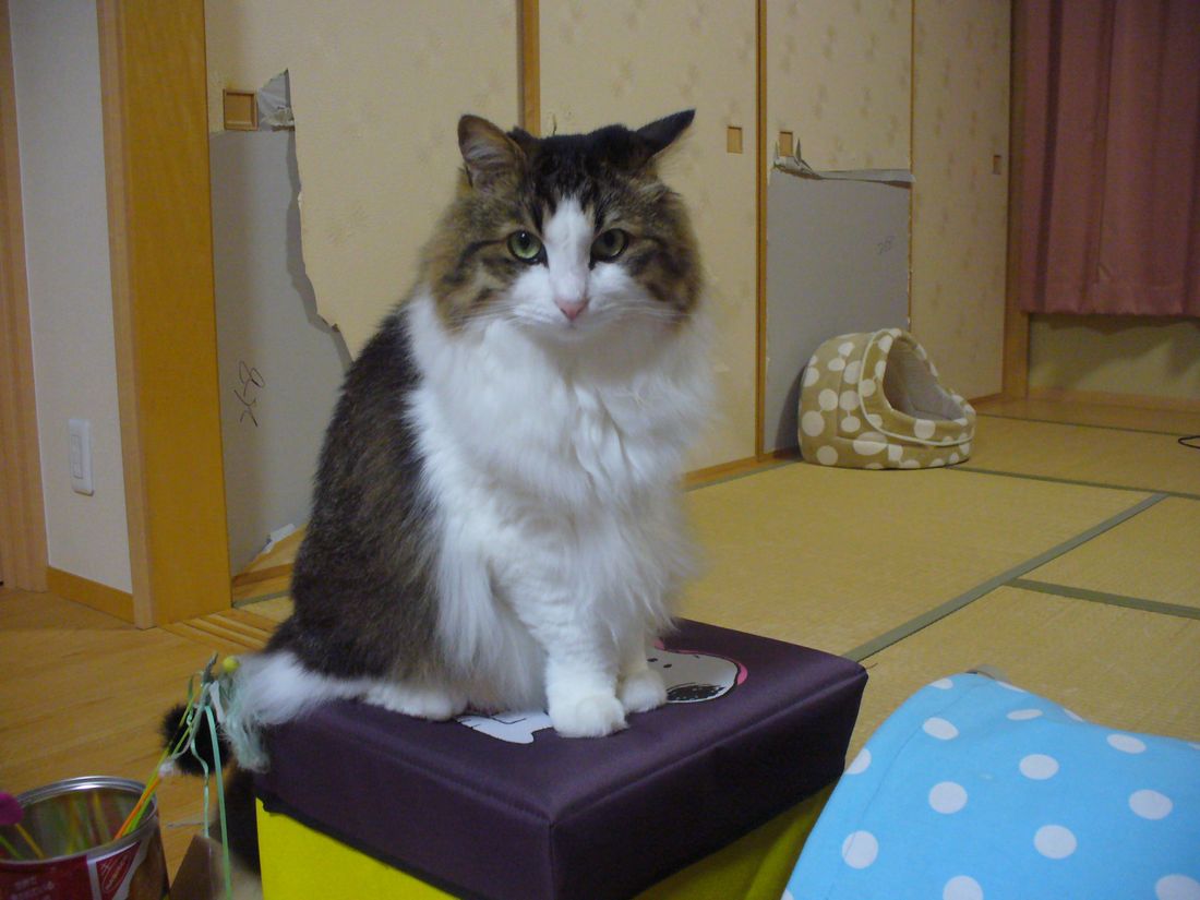 今日は27.7℃_f0275632_22155966.jpg