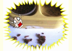 e0255638_1605750.gif