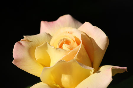 c0068639_14442364.jpg