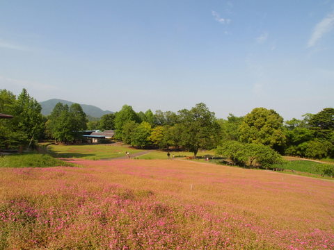b0199742_06486.jpg