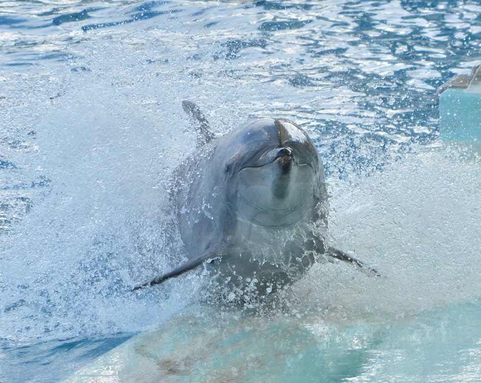 a0055650_9131484.jpg
