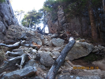 b0148050_937556.jpg