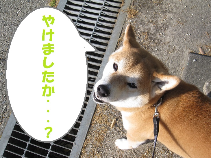 f0245650_09072157.jpg