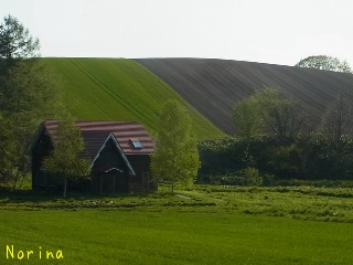 e0326953_948324.jpg