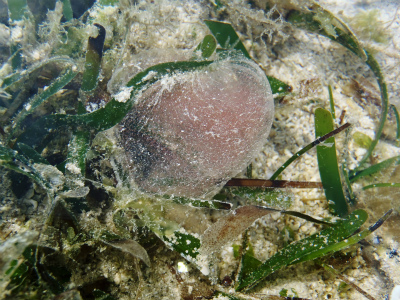c0180460_78161.jpg