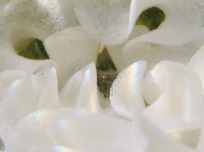 c0180460_79556.jpg