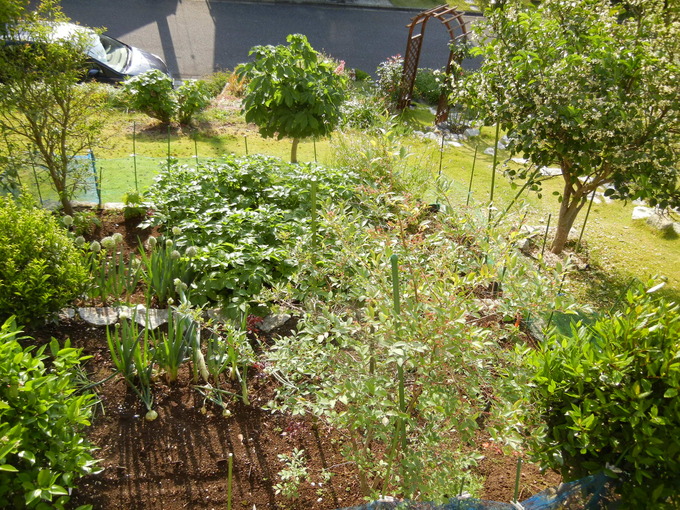 ’14,5,24(土)今日は母に会いに行く日だったのに・・・_f0060461_12313128.jpg
