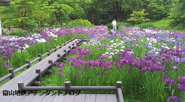 6月の沿線情報_a0243562_16191318.jpg