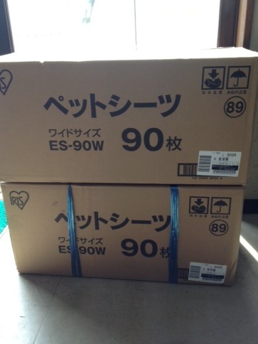 いただきました!_b0194462_1741271.jpg